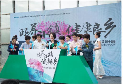 “颐养小镇+健康良乡”首届菊花彩叶展(图3) “颐养小镇+健康良乡”首届菊花彩叶展(图3)