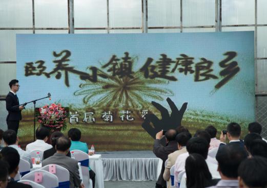 “颐养小镇+健康良乡”首届菊花彩叶展(图4) “颐养小镇+健康良乡”首届菊花彩叶展(图4)